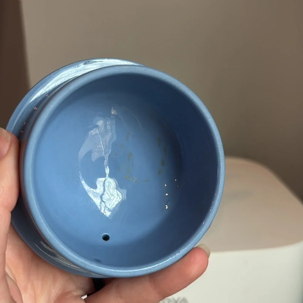 Wedgwood once buyer